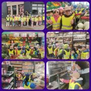 ilustracja do wpisu 
Kokosy realizują ogólnopolski program edukacyjny "Kubusiowi Przyjaciele Natury"