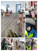 ilustracja do wpisu 
Wycieczka do sklepu Castorama