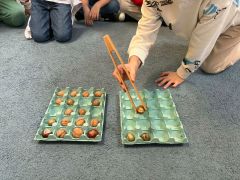 większy obrazek nr 8