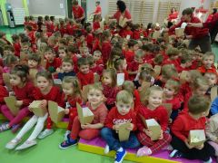 większy obrazek nr 3