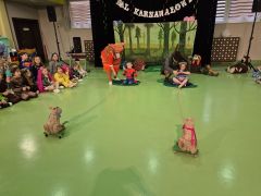 większy obrazek nr 5