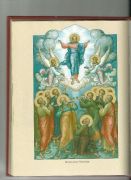 większy obrazek nr 1