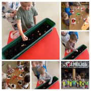 większy obrazek nr 5