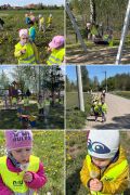 większy obrazek nr 4