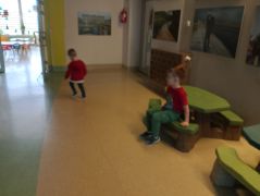 większy obrazek nr 5