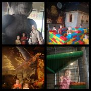 większy obrazek nr 5