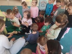 większy obrazek nr 5