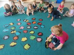 większy obrazek nr 6