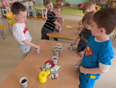 większy obrazek nr 6