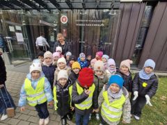 większy obrazek nr 5