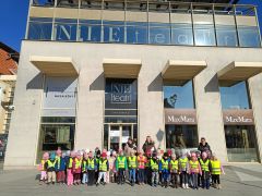 większy obrazek nr 2