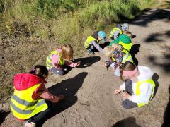 większy obrazek nr 2