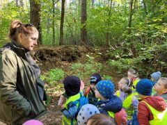 większy obrazek nr 3