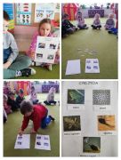 większy obrazek nr 6