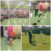 większy obrazek nr 1