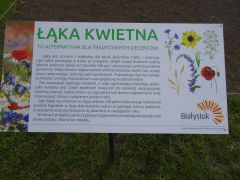 większy obrazek nr 2