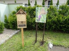 większy obrazek nr 3