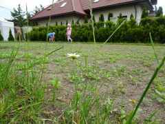 większy obrazek nr 4