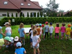 większy obrazek nr 5