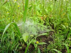 większy obrazek nr 6