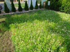 większy obrazek nr 7