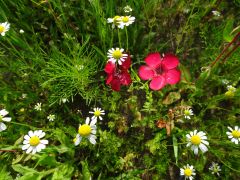 większy obrazek nr 8