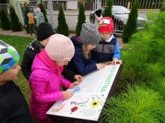 większy obrazek nr 13