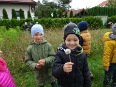 większy obrazek nr 14