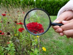 większy obrazek nr 15