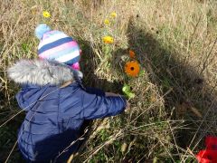 większy obrazek nr 17