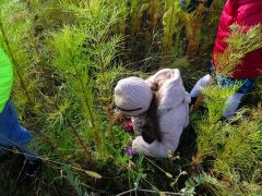 większy obrazek nr 18