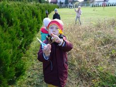 większy obrazek nr 19