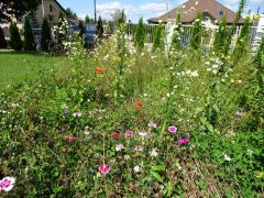 większy obrazek nr 2