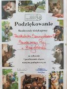 większy obrazek nr 2