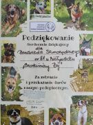 większy obrazek nr 3