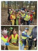 większy obrazek nr 7