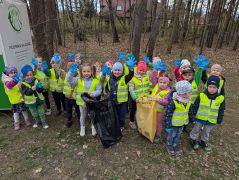 większy obrazek nr 2