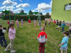 większy obrazek nr 7